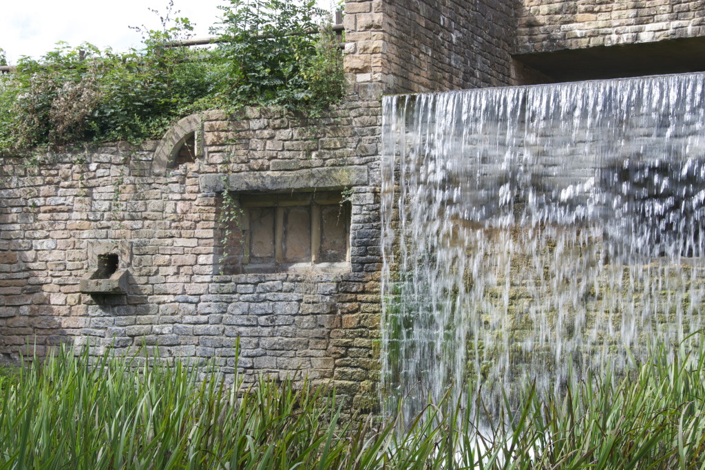 _DSC0100