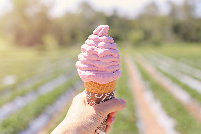 Ice cream cone